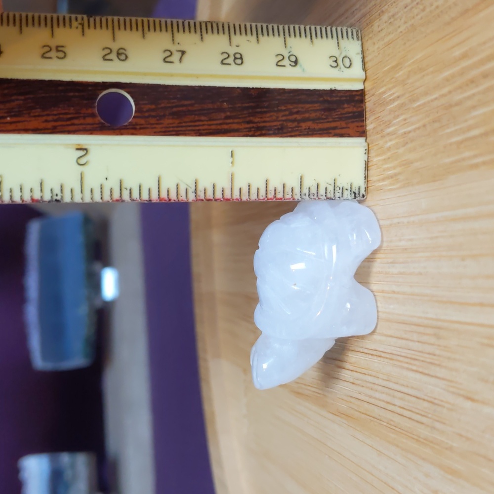 Mini Quartz Turtle 🐢 - Picture 3 of 12